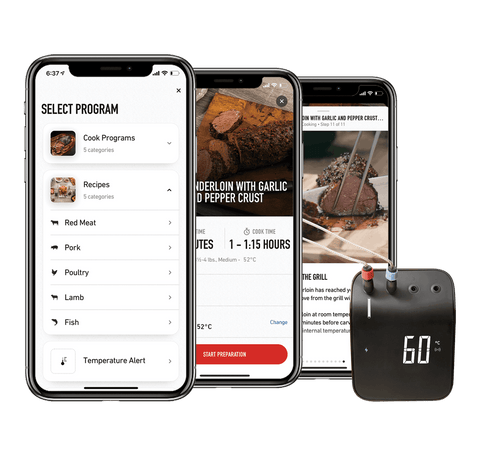 Weber Connect Smart Barbecue Hub