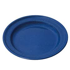 Plate Flat Enamel 27cm Navy