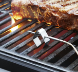 Weber Smart Probe and Grate Sensor